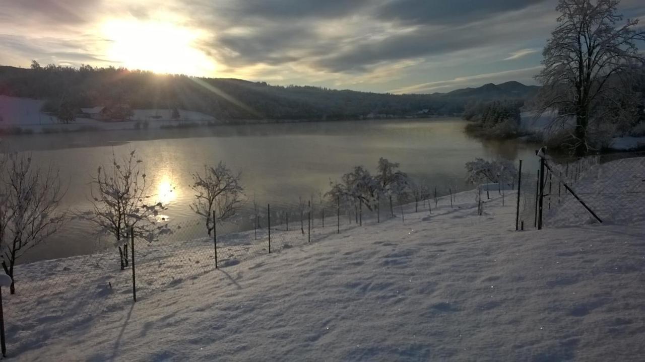 Kuca Za Odmor Jezero Villa Ogulin Bagian luar foto