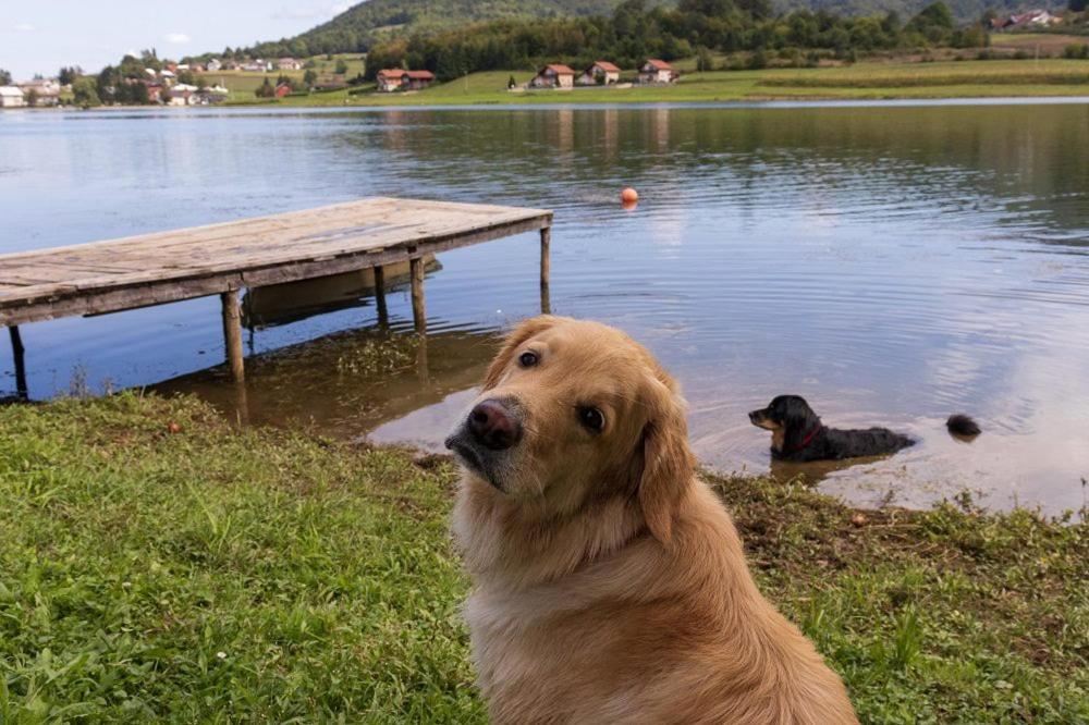 Kuca Za Odmor Jezero Villa Ogulin Bagian luar foto